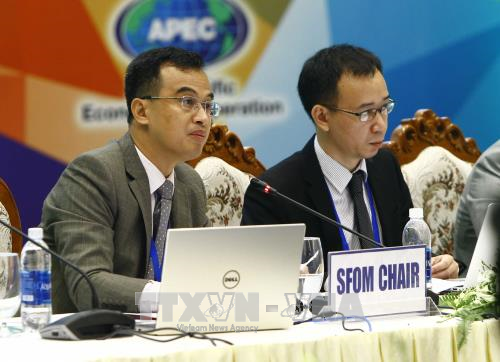 Hội nghị quan chức tài chính cao cấp APEC 2017 ảnh 1